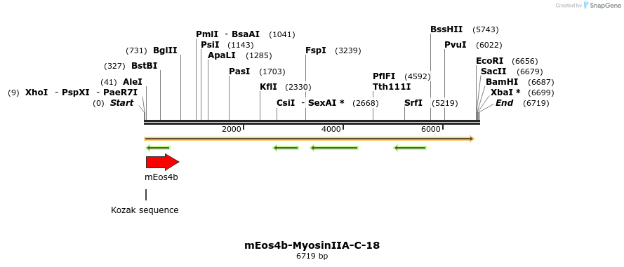 88655_map