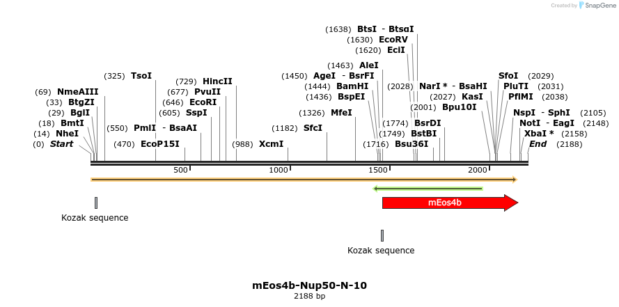 88657_map
