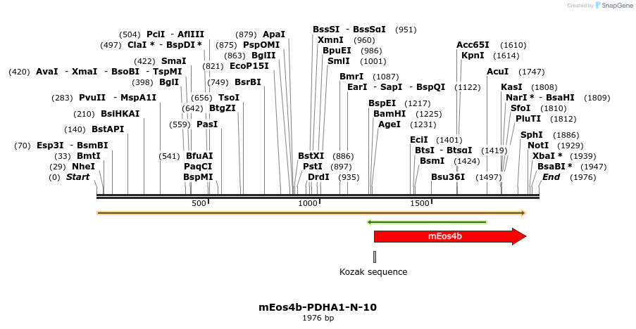 88658_map