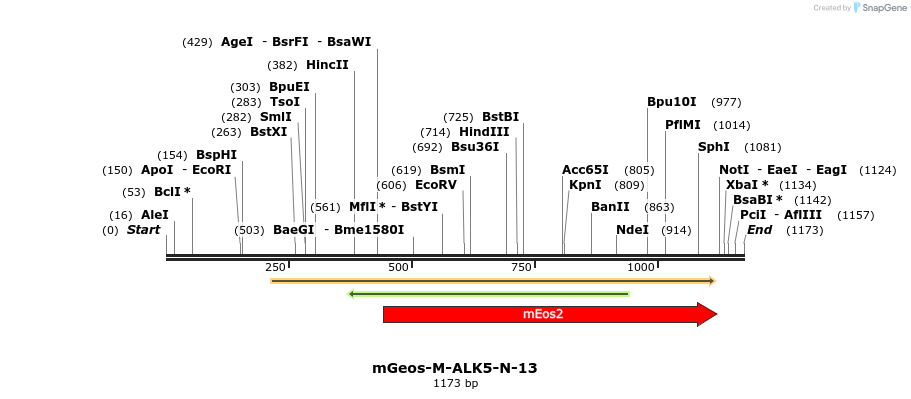 88668_map