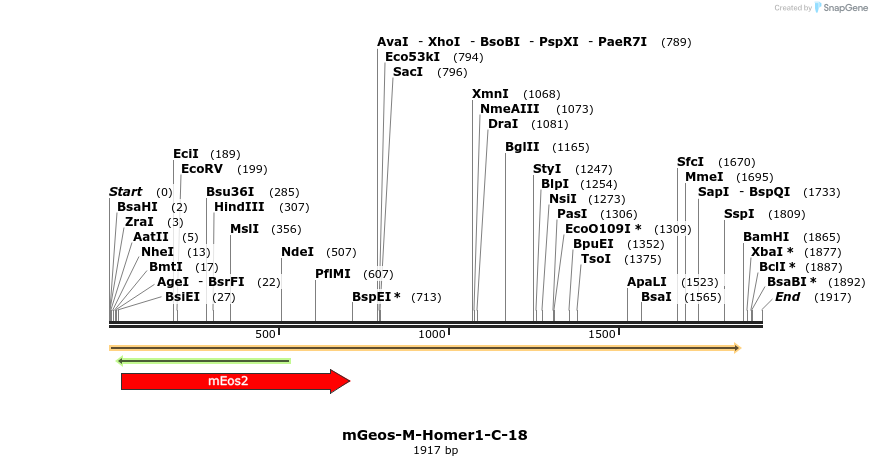 88670_map