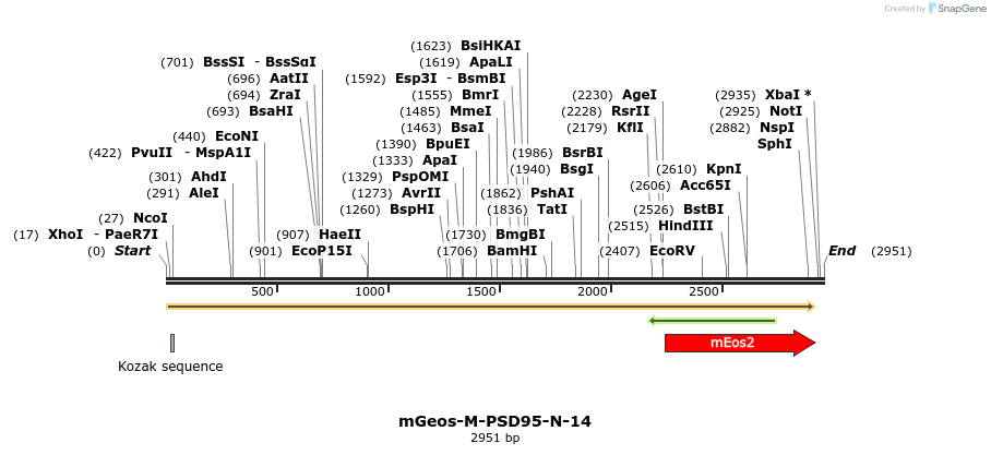 88674_map