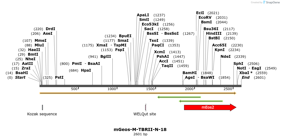 88675_map