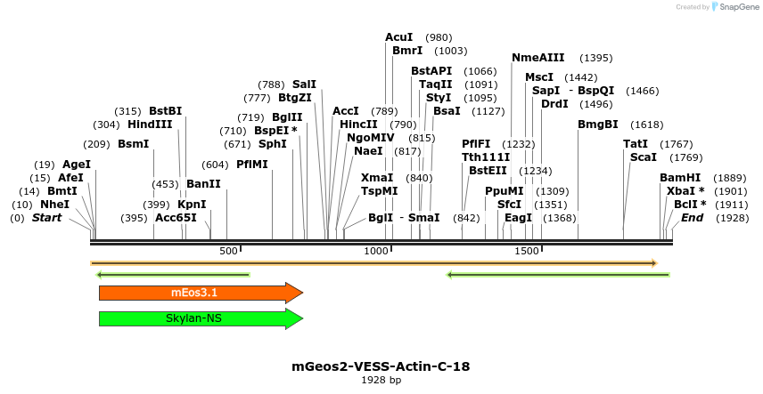 88676_map