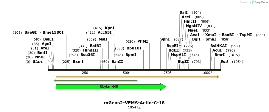 88679_map