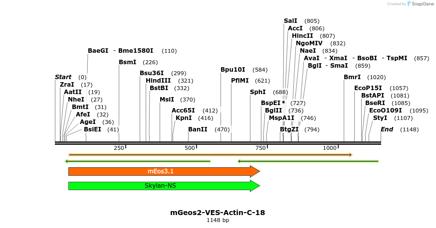 88681_map