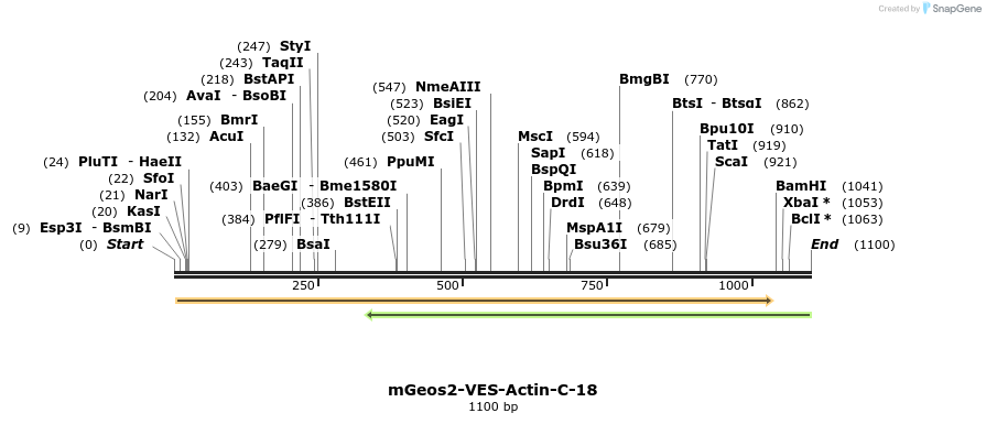 88682_map