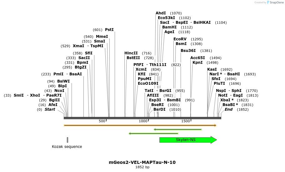88698_map