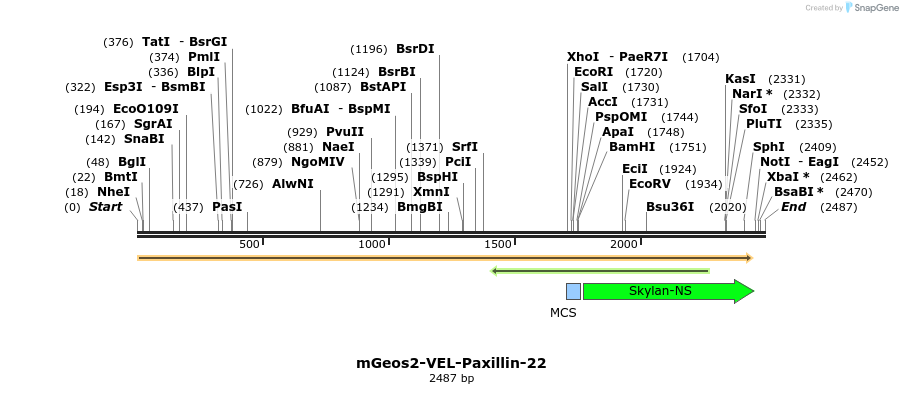 88701_map