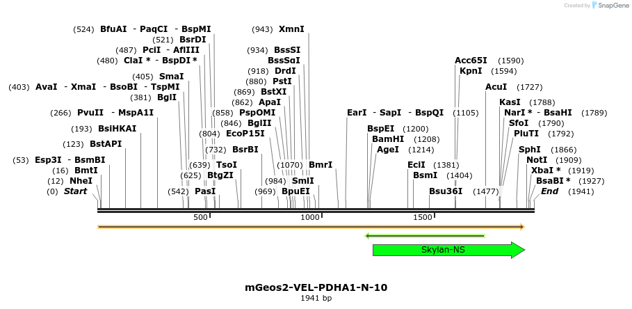 88702_map