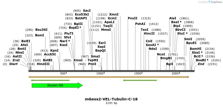 88706_map
