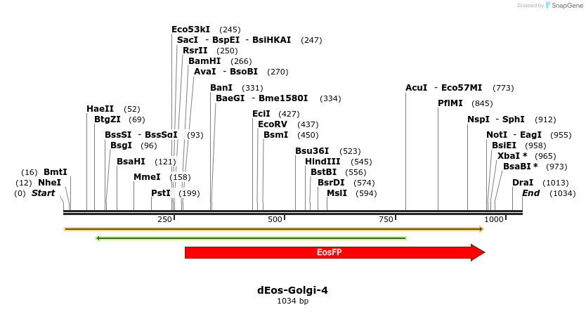 88709_map