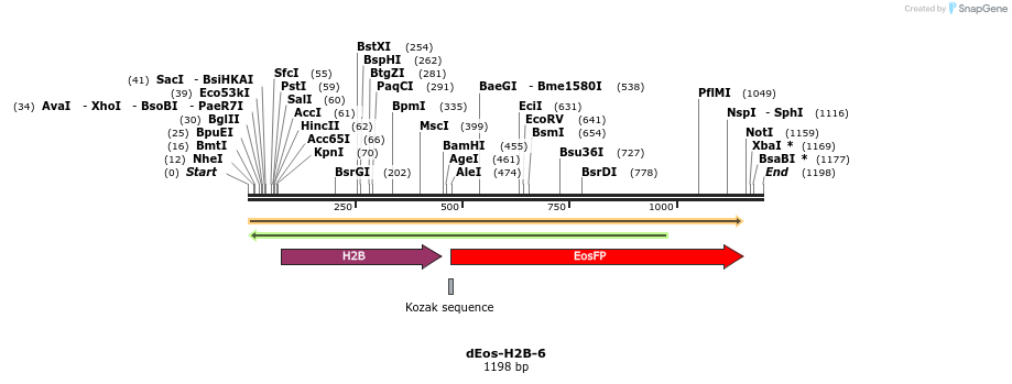 88710_map