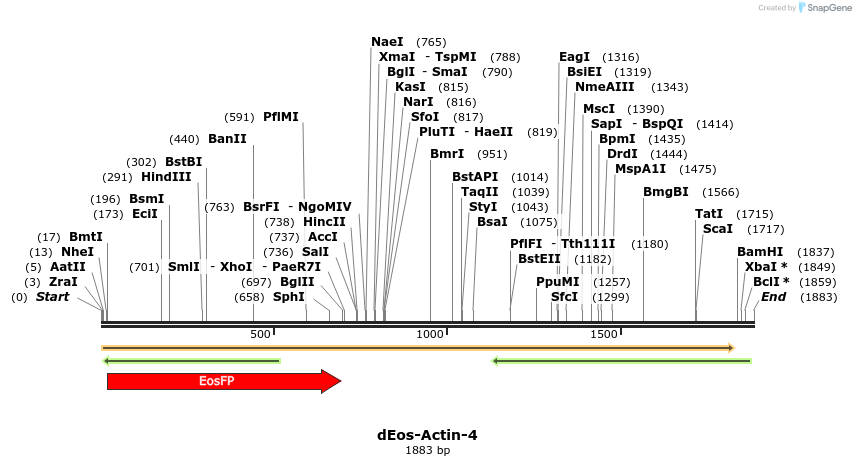 88711_map