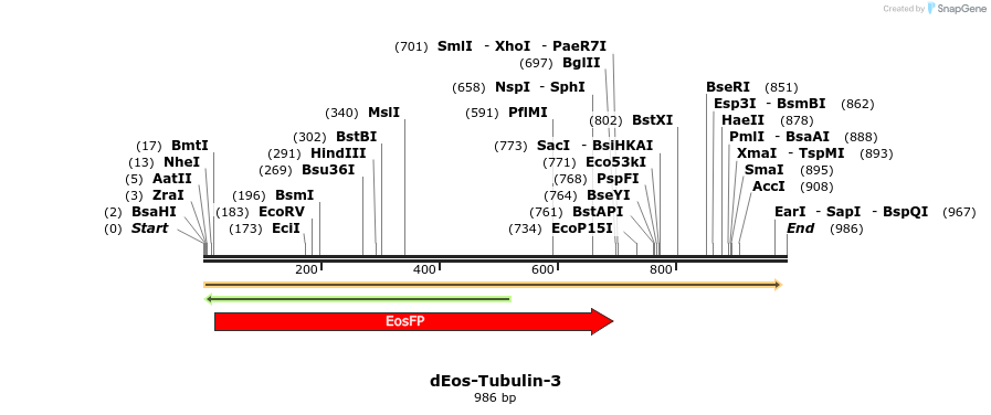 88713_map