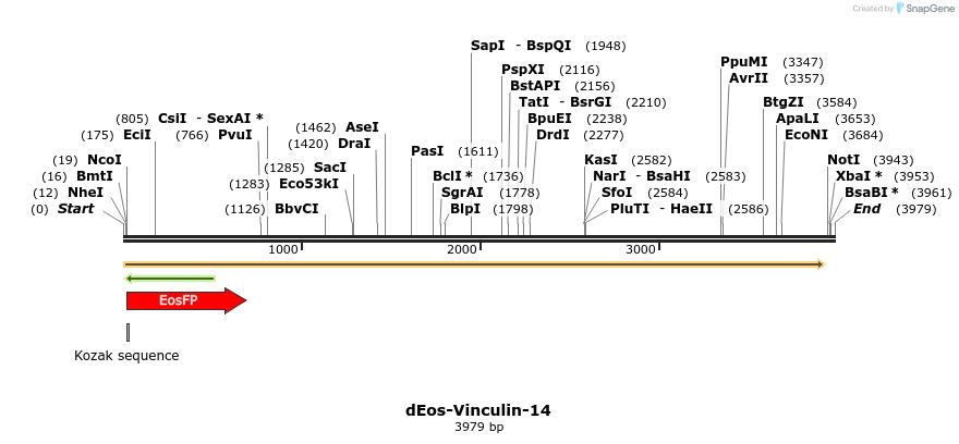 88715_map