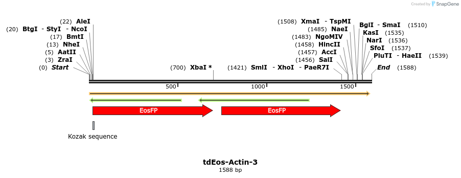 88716_map