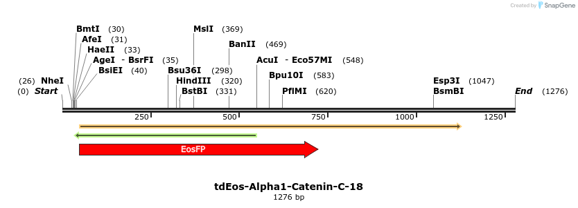 88721_map
