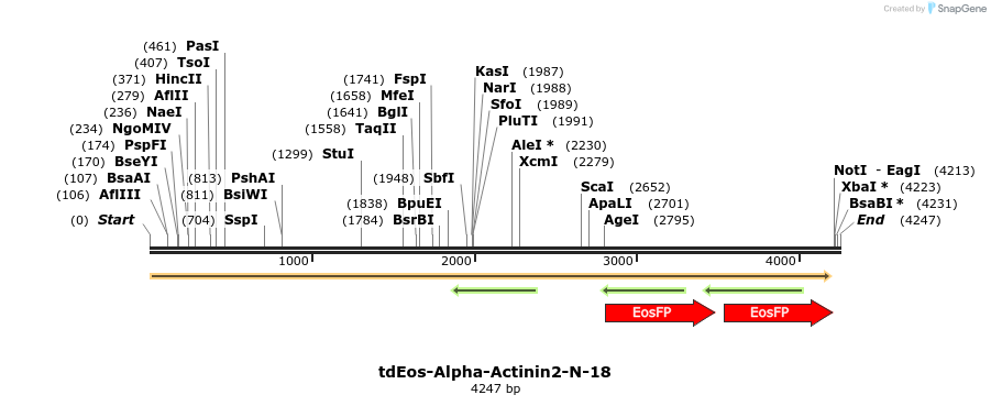 88725_map
