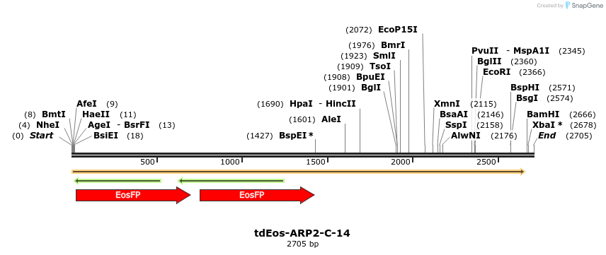 88729_map