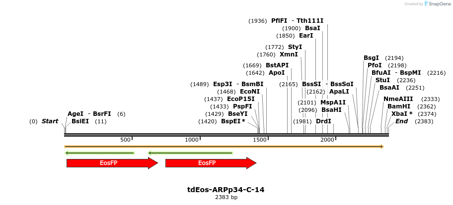 88733_map