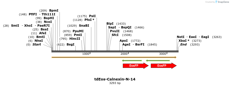 88737_map