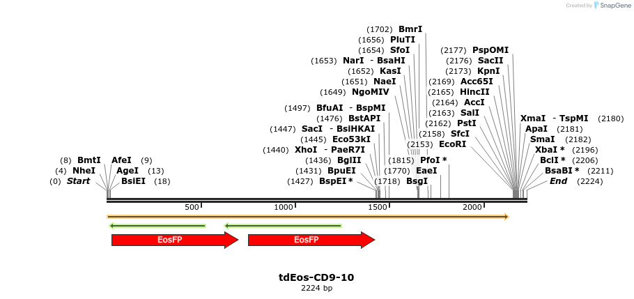 88741_map