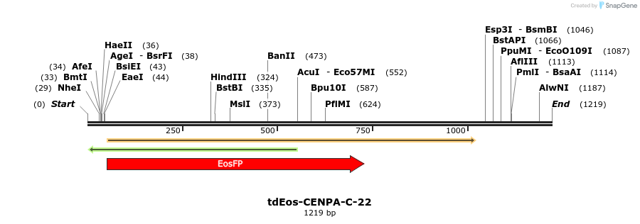 88746_map