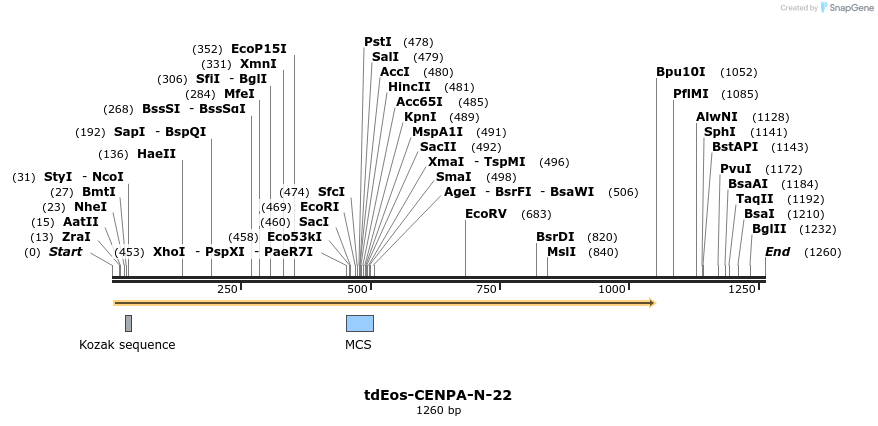 88748_map