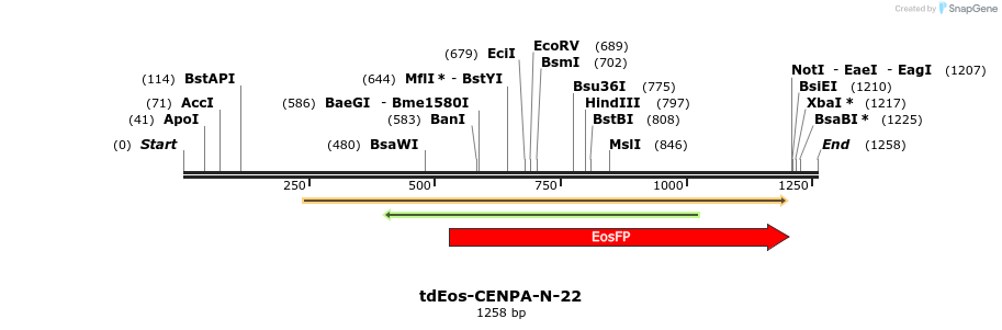 88749_map