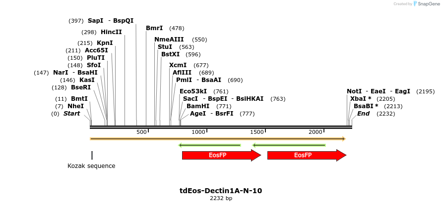 88758_map