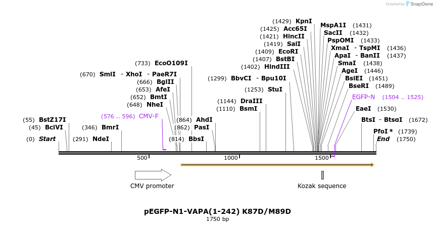 8876_map