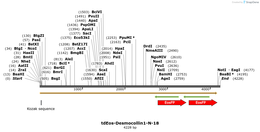 88760_map