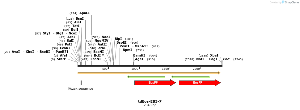 88762_map