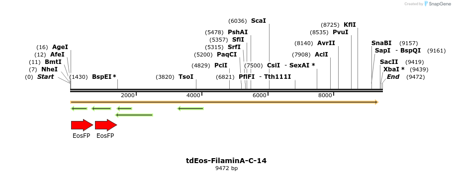 88767_map