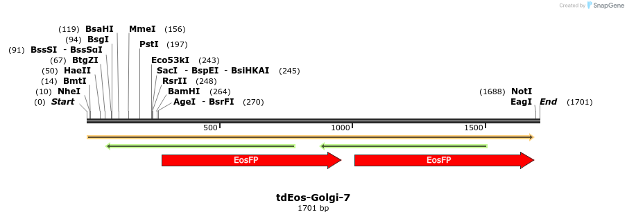 88771_map