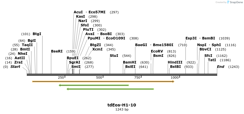 88772_map