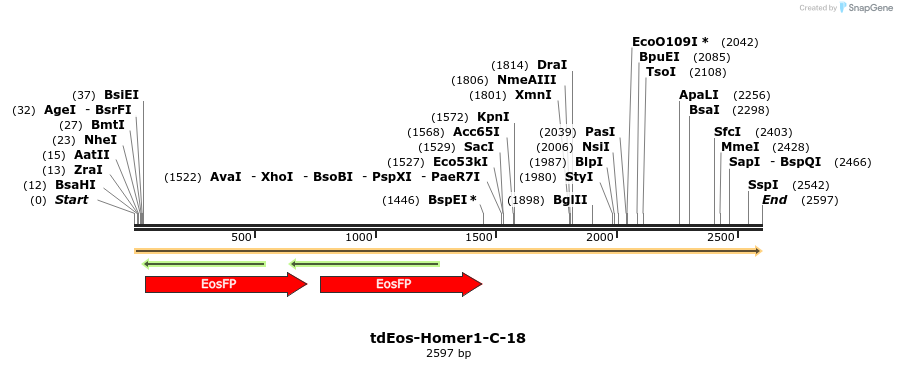 88777_map