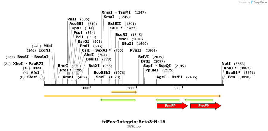 88780_map