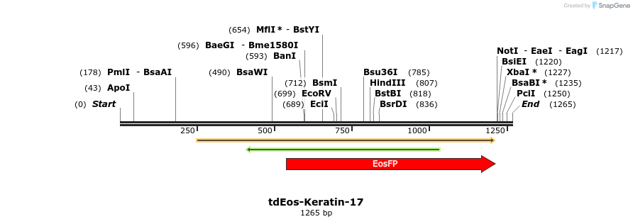88782_map