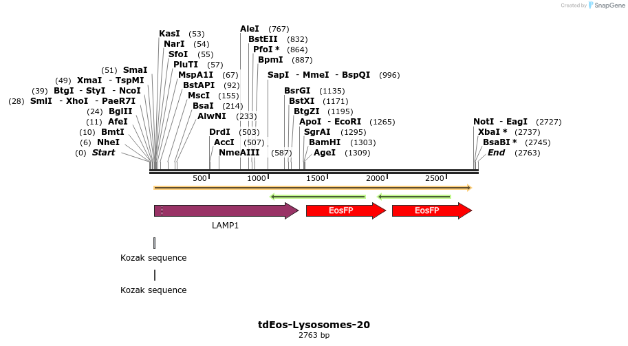 88787_map