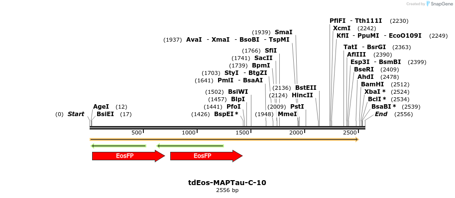 88789_map