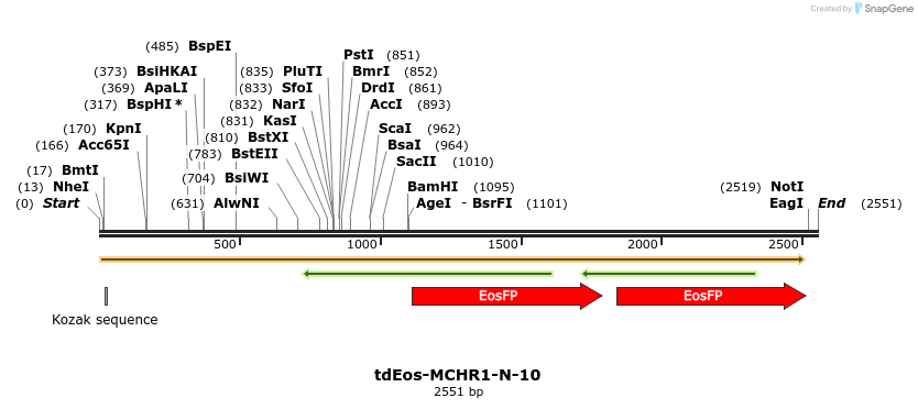88791_map