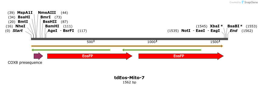 88797_map