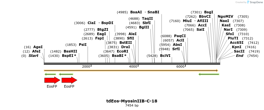 88799_map