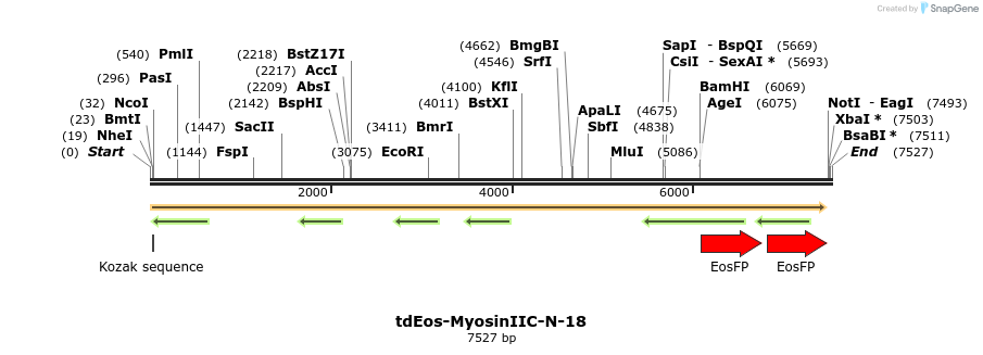 88801_map