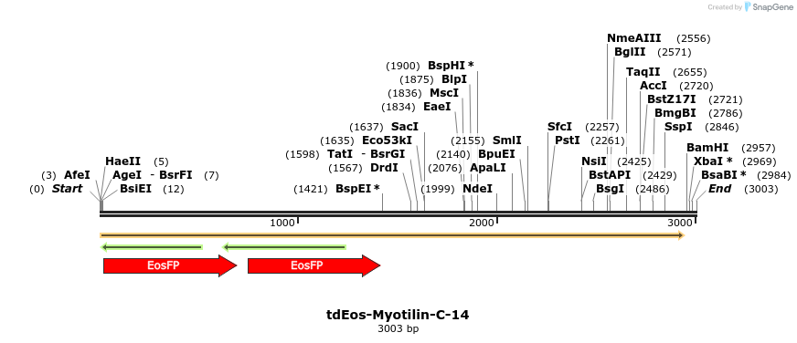 88802_map