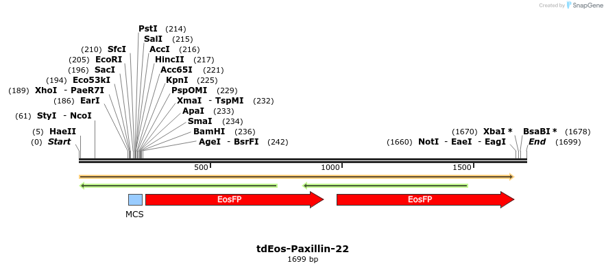 88807_map
