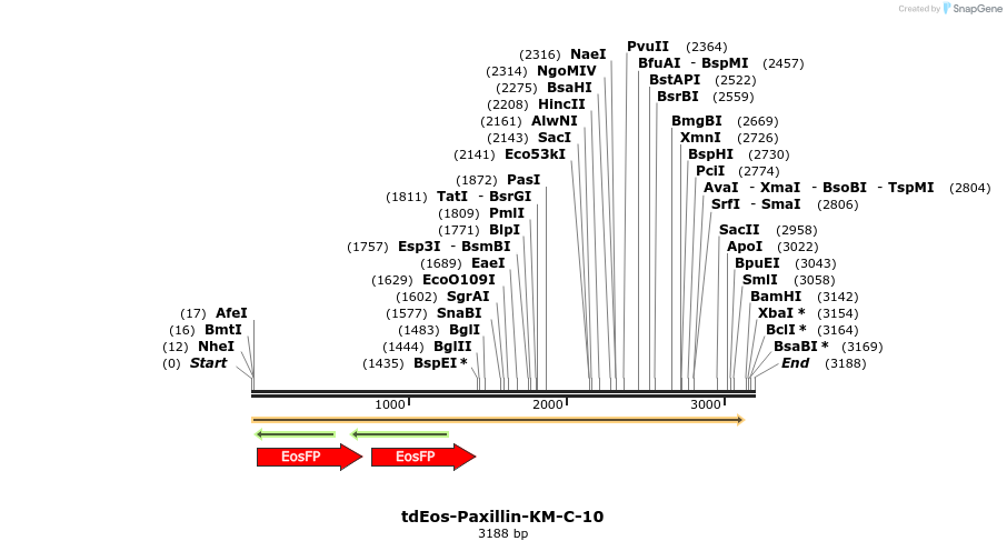 88808_map