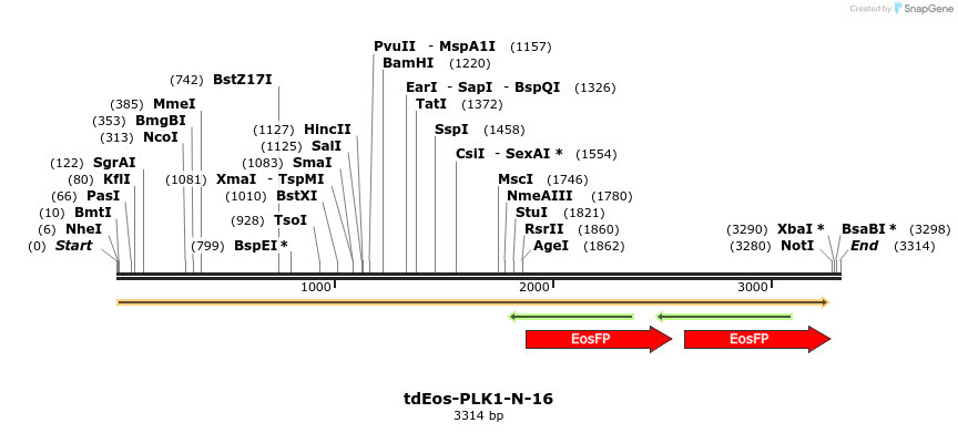 88811_map
